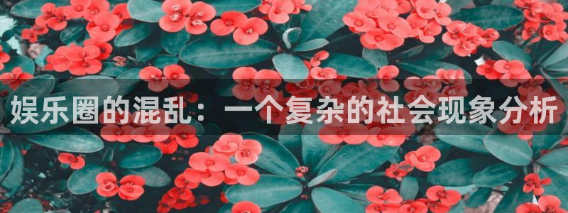 AB娱乐