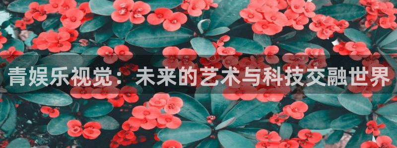 AB娱乐