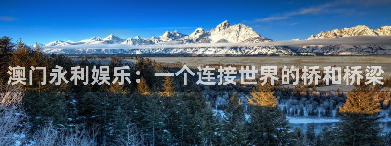 AB娱乐